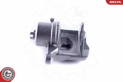 Brake Caliper 55SKV272