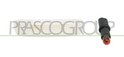 PRASCO LR8024039 Указатель поворотов  для LAND ROVER RANGE ROVER SPORT I (L320) 3.0 D 4x4
