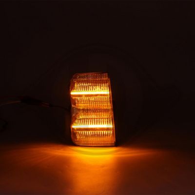 SEMNALIZATOR DIEDERICHS LID10458 5