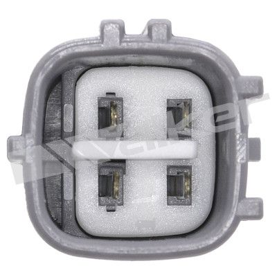 LAMBDASONDE WALKER PRODUCTS 80094003 2