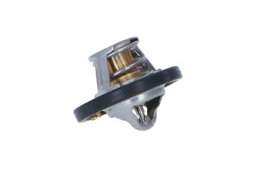TERMOSTAT LICHID RACIRE NRF 725187 13