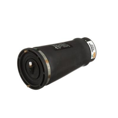 LUFTFEDER FAHRWERK Arnott A2202 49