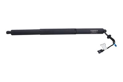 Galinių durų elektros variklis