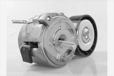 SPANNROLLE KEILRIPPENRIEMEN