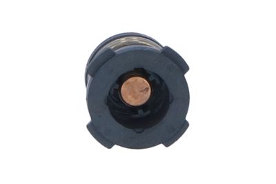 TERMOSTAT LICHID RACIRE NRF 725225 44