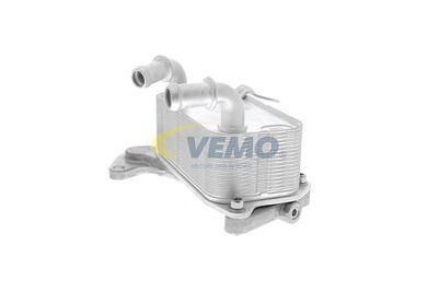 RADIATOR ULEI ULEI MOTOR VEMO V15606073 12