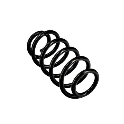 ARC SPIRAL EIBACH R10135 23
