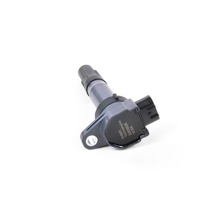 ZüNDSPULE DELPHI GN1053012B1 18