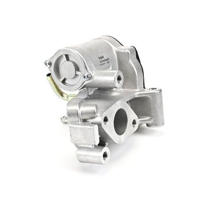 SUPAPA EGR DELPHI EG1054012B1 21