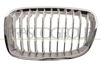 GRILA RADIATOR PRASCO BM1232014