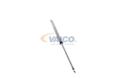 GASFEDER KOFFER-/LADERAUM VAICO V500048 24