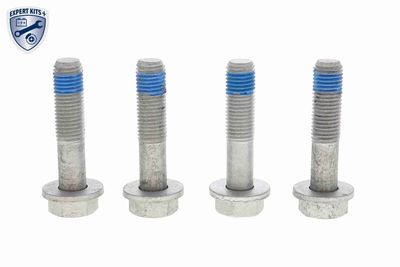 SET RULMENT ROATA VAICO V200513 1