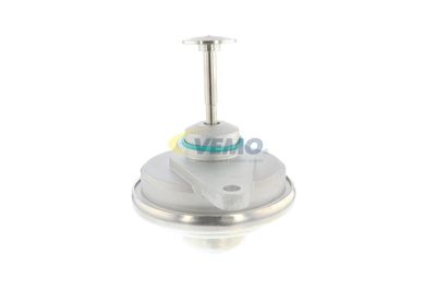 SUPAPA EGR VEMO V40630019 22