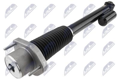 amortizatorius A-LR-019 NTY