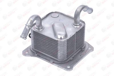 RADIATOR ULEI ULEI MOTOR BIRTH 80848 6