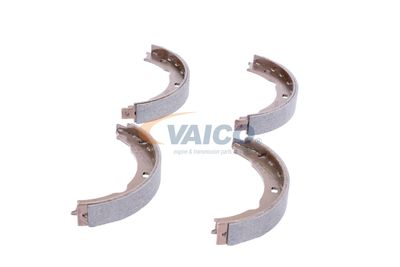 SET SABOTI FRANA FRANA DE MANA VAICO V424137 24