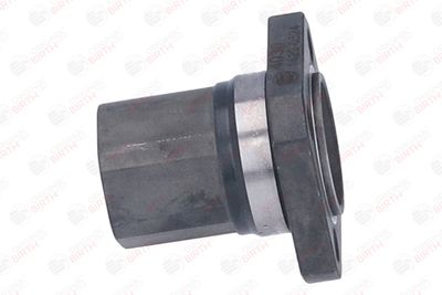 FLANSA LICHID RACIRE BIRTH 4030 4