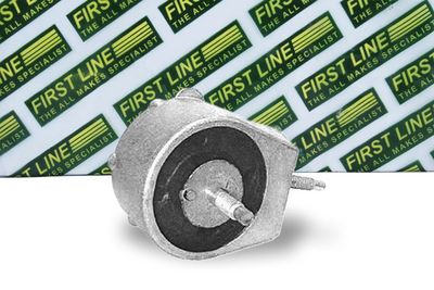 окачване, двигател FIRST LINE FEM3393