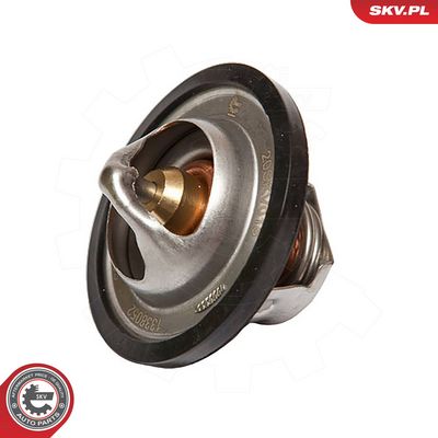 Termostatas, aušinimo skystis