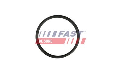 GARNITURA CONDUCTA LICHID DE RACIRE FAST FT49931 1