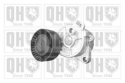 Натяжитель ремня, клиновой зубча QUINTON HAZELL QTA918 для BMW Z3