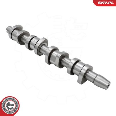 SET AX CU CAME ESEN SKV 80SKV302 2