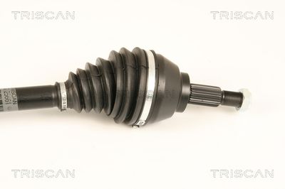 PLANETARA TRISCAN 854025661 3