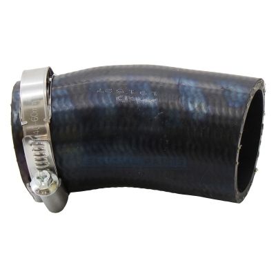 FURTUN EAR SUPRAALIMENTARE