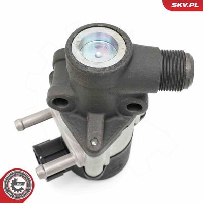 AGR - Ventil ESEN SKV 14SKV271