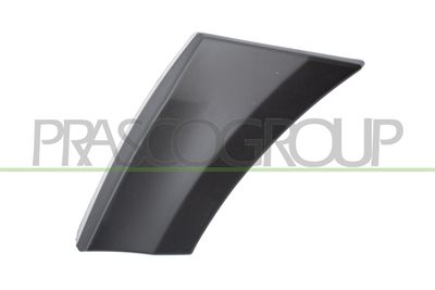 ELEMENTE DECORATIVE/PROTECTIE ARIPA PRASCO ME9191582