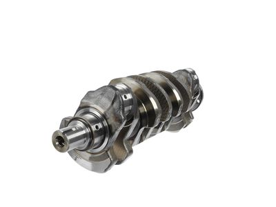 ARBORE COTIT ET ENGINETEAM HK0165 14