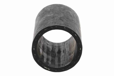 FURTUN EAR SUPRAALIMENTARE ACKOJA A389599 4