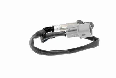 SONDA LAMBDA ACKOJA A53760012 8