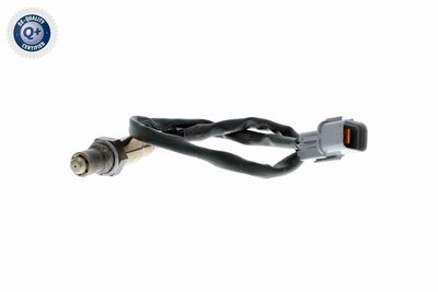 SONDA LAMBDA ACKOJA A53760007 2