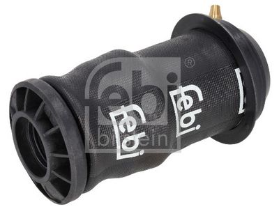 BURDUF SUSPENSIE CABINA SOFER FEBI BILSTEIN 103210 1