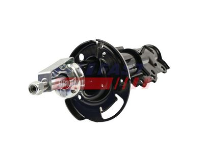 Amortizators FAST FT11177