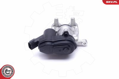 Brake Caliper 55SKV753