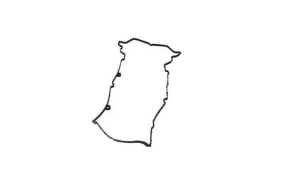 GARNITURA CAPAC SUPAPE