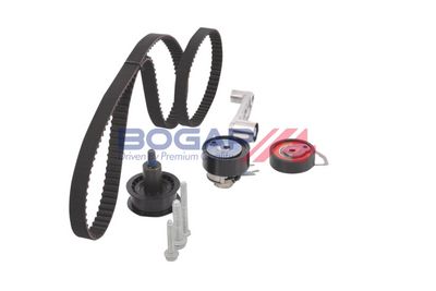 SET CUREA DE DISTRIBUTIE BOGAP A1328169