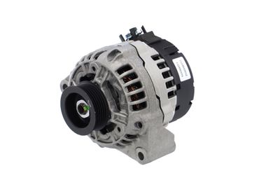 GENERATOR / ALTERNATOR REMANTE 011003000032R 6