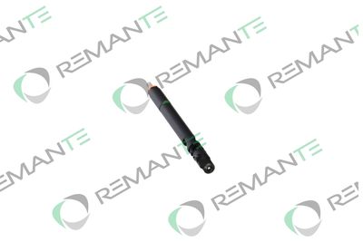 INJECTOR REMANTE 002003002166R 1