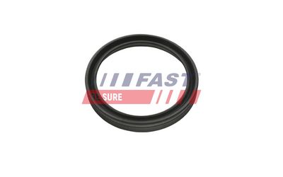 Dichtring, Ladeluftschlauch