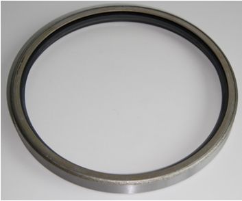 Shaft Seal, wheel hub 01003556B