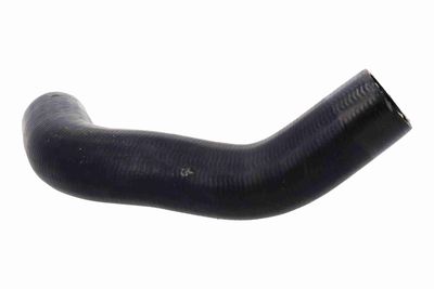 FURTUN EAR SUPRAALIMENTARE ACKOJA A260540 3