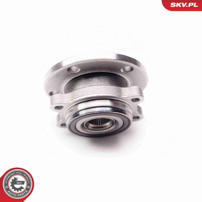 SET RULMENT ROATA ESEN SKV 29SKV010 2