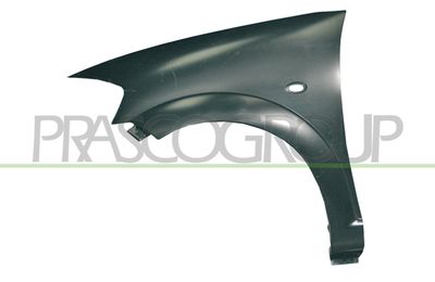 Крыло PRASCO CI3203034 для CITROËN C3