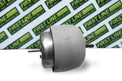 окачване, двигател FIRST LINE FEM3465