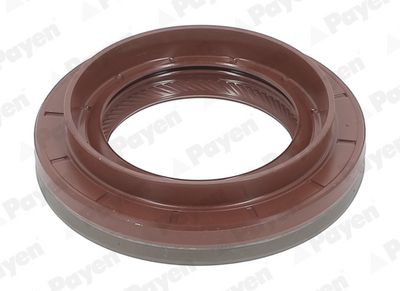 SIMERING DIFERENTIAL