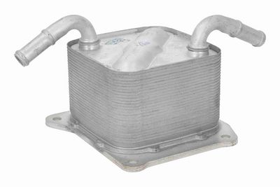 RADIATOR ULEI ULEI MOTOR ACKOJA A38600014 2