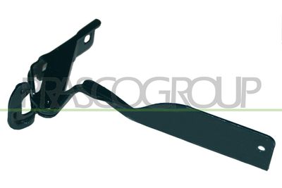 панта, капак на двигателя PRASCO DS5223703